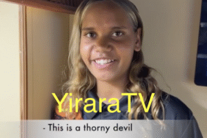 YCTV E1 T4 – 2025 Thumbnail YCTV E1 T4 – 2025 Thumbnail